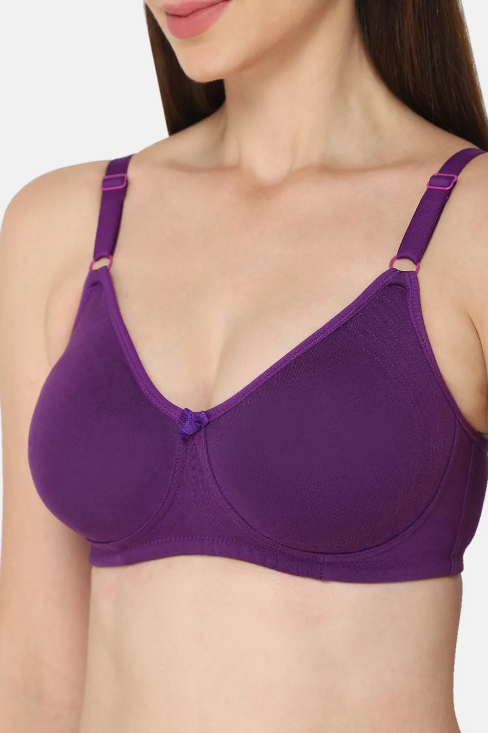 Intimacy Everyday-Bra Special Combo Pack - EC06 - C42